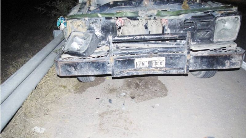 Camioneta chocó contra un animal en la ruta 157