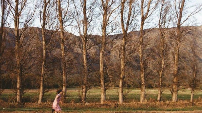 Muestra fotográfica de Jesús Rodríguez en el Museo de Bellas Artes