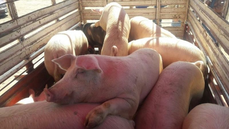 Agronomía de Zona: Hugo Corpacci visitó Recreo