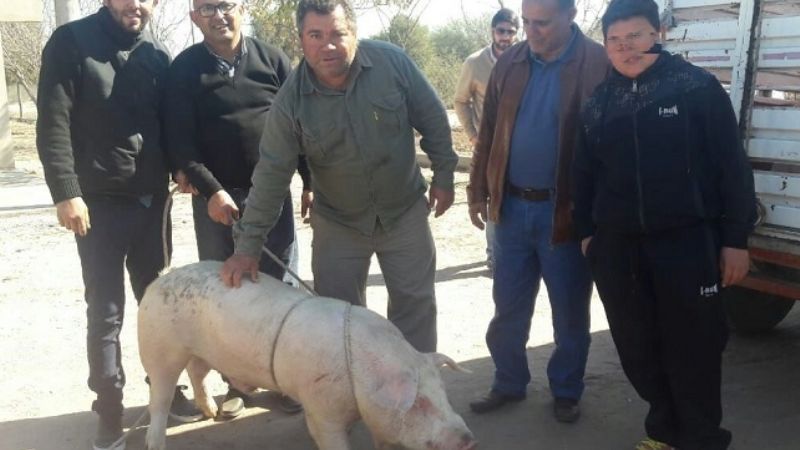 Agronomía de Zona: Hugo Corpacci visitó Recreo
