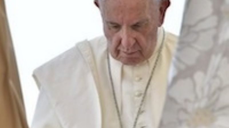 El Papa Francisco admitió que la Iglesia no supo actuar ante los abusos