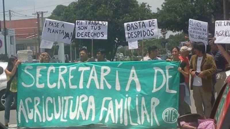 Confirman que se vienen nuevos despidos en Agricultura Familiar