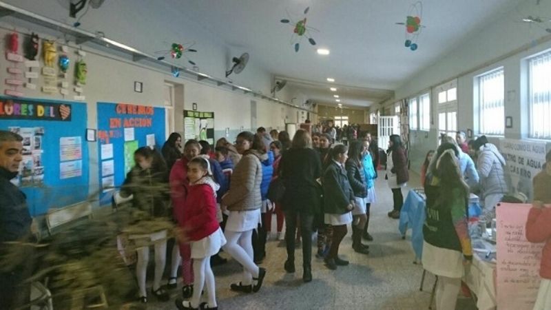 Feria de Ciencias: trabajos que pasan a la Instancia Provincial