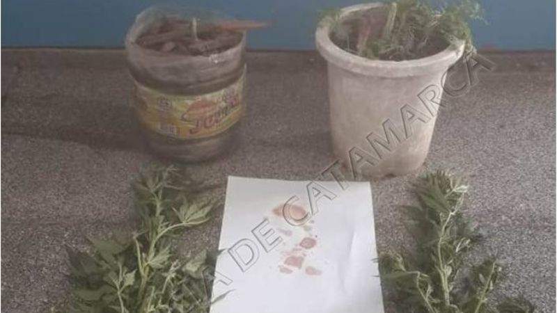 Secuestran droga y arrestan a dos jóvenes en Andalgalá