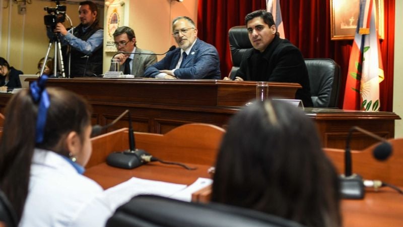 El Parlamento Infantil sesionó en la Legislatura