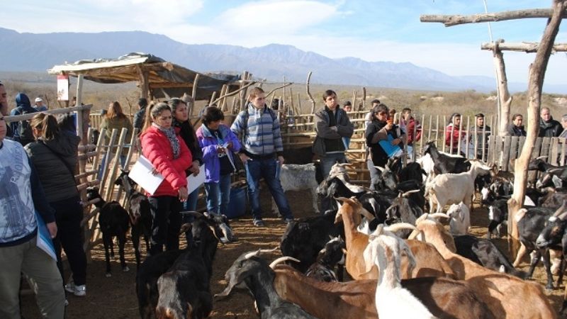 Pomán: gran asistencia en jornada para caprinos