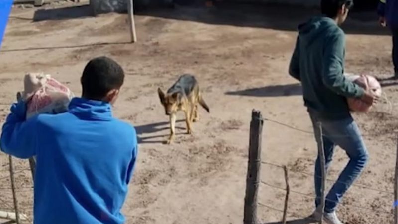 Gestionan asistencia para productores