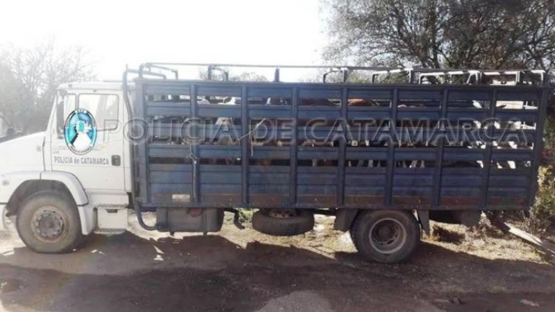 Secuestran animales sueltos en El Alto