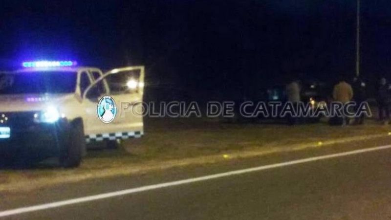 Secuestran animales sueltos en El Alto