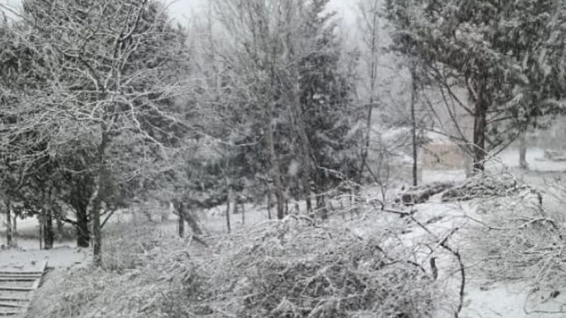 Nevó en distintas localidad del sur cordobés