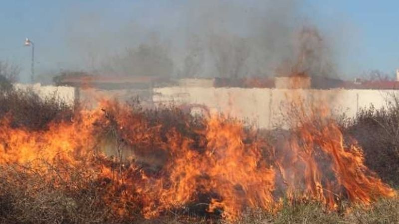 Incendio de pastizales llegó hasta una vivienda