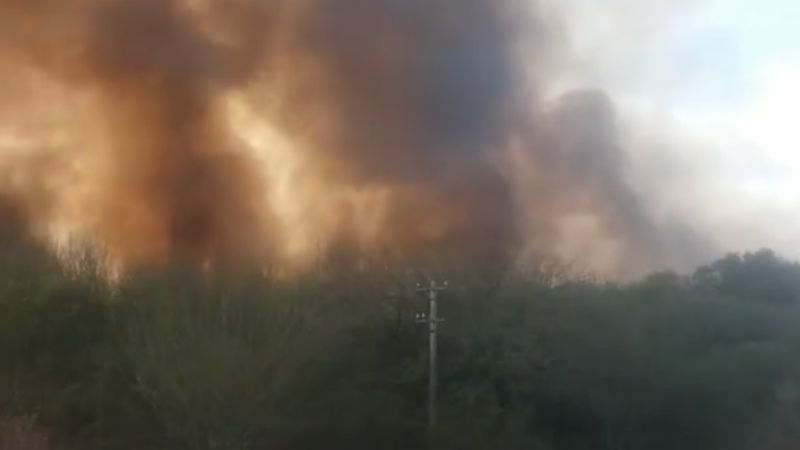 Voraz incendio en una finca de olivos