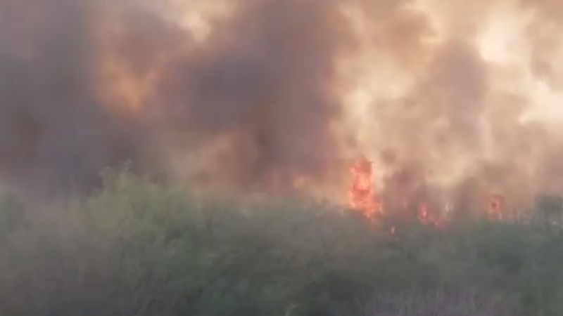 Voraz incendio en una finca de olivos