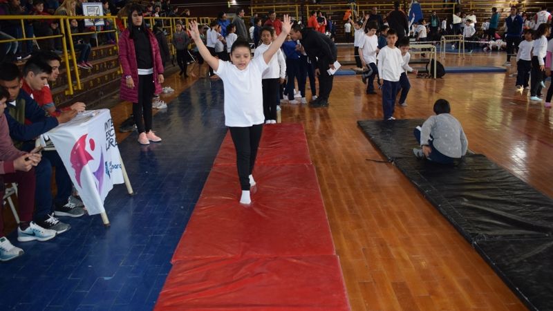 Un total de 260 alumnos disfrutaron del Primer Encuentro de Gimnasia Artística
