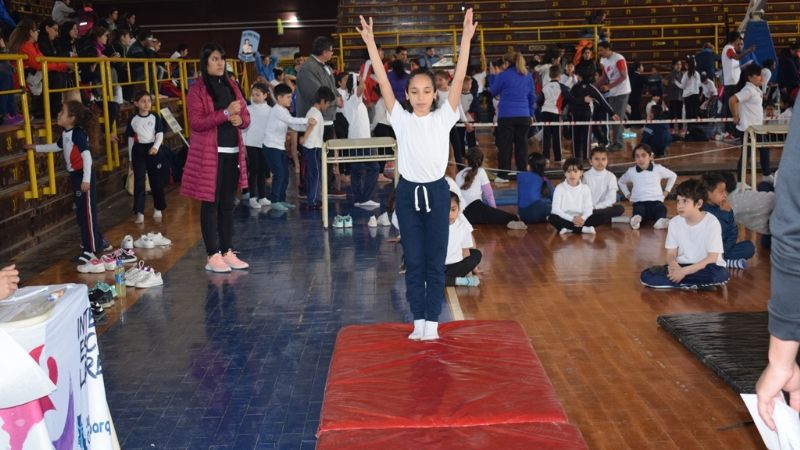 Un total de 260 alumnos disfrutaron del Primer Encuentro de Gimnasia Artística