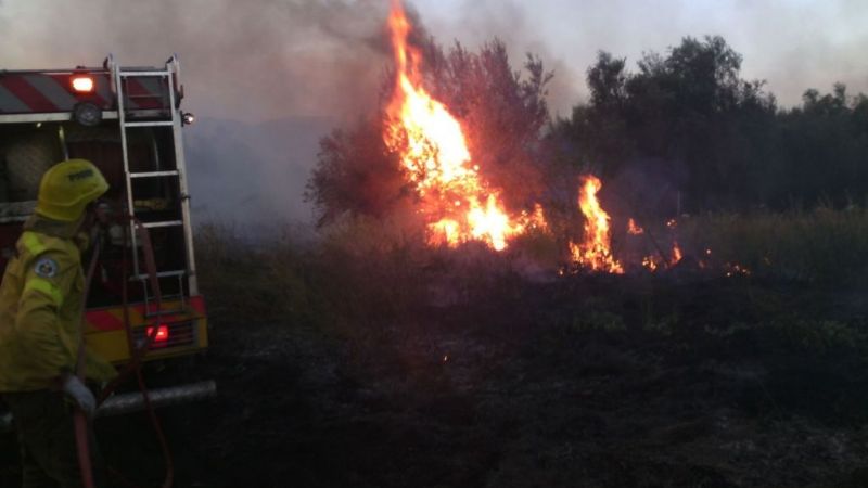 Se quemaron alrededor de 150 hectáreas en Capayán