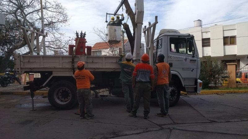 Retiran ramas caídas en el Hospital de Niños