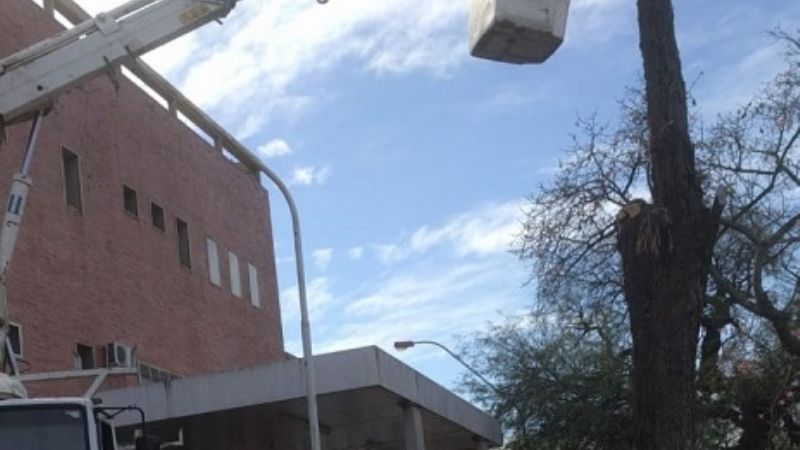 Retiran ramas caídas en el Hospital de Niños