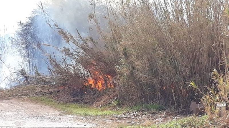Incendio de pastizales en Sierra Brava