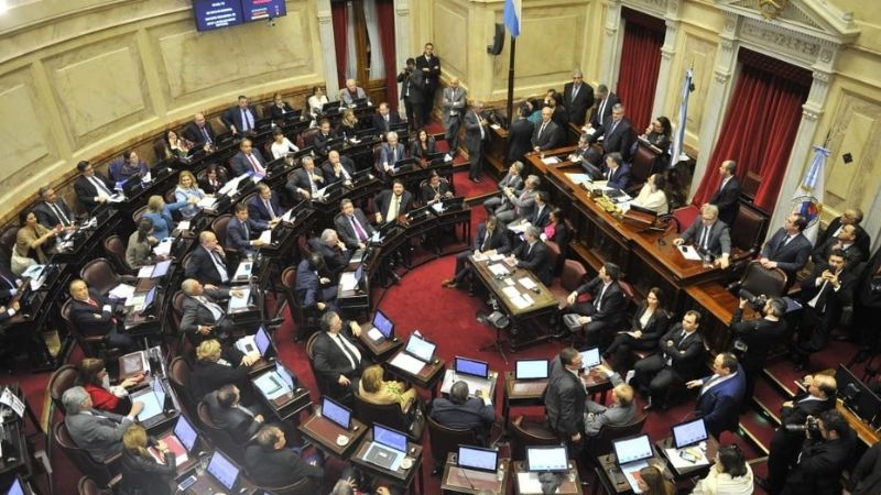 Tras 17 horas de debate, el Senado le dijo "no" a la legalización del aborto