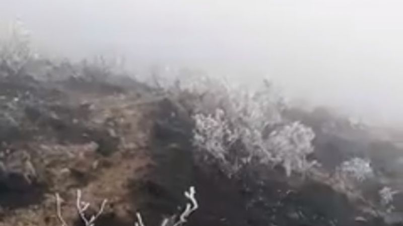 Cae nieve en El Rodeo