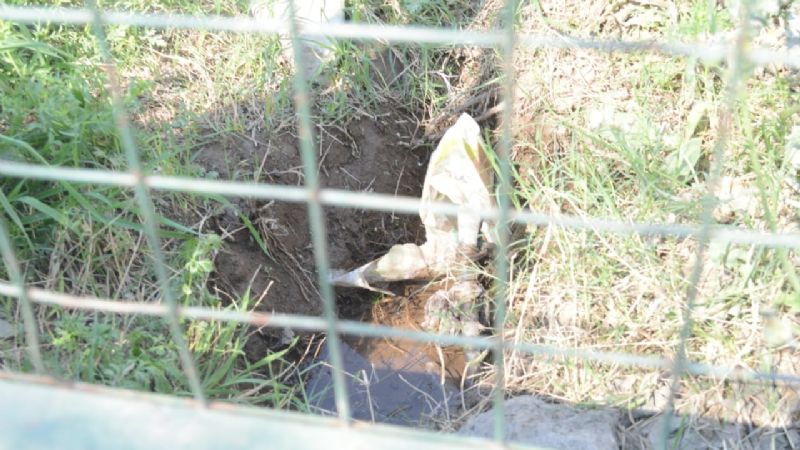 Verificación del servicio de agua potable en el CIC Sur