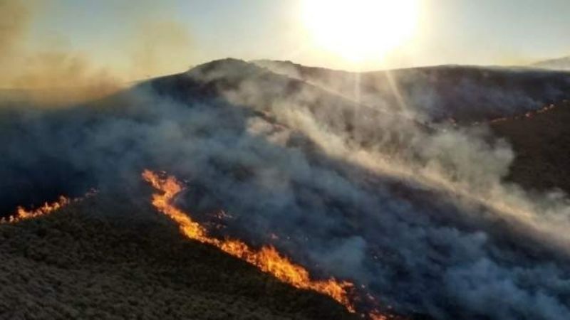 Brigadistas trabajan para apagar el fuego en las sierras del Gracián