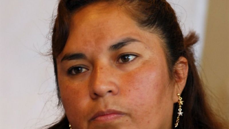 Mónica Hernández: “Hemos actuado de buena fe”