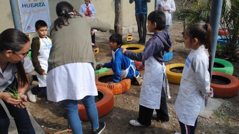 La huerta presente en el programa de “Escuelas Saludables”