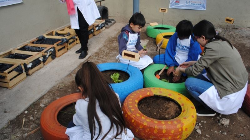 La huerta presente en el programa de “Escuelas Saludables”