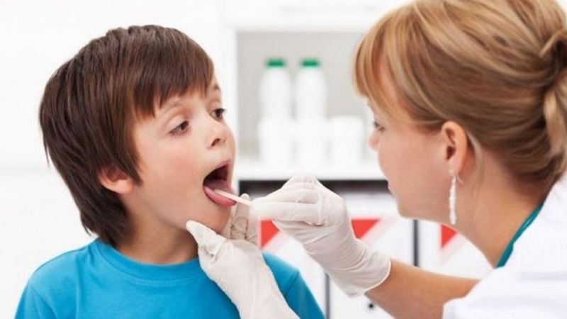 Bacteria: ¿por qué no existe un brote o epidemia?