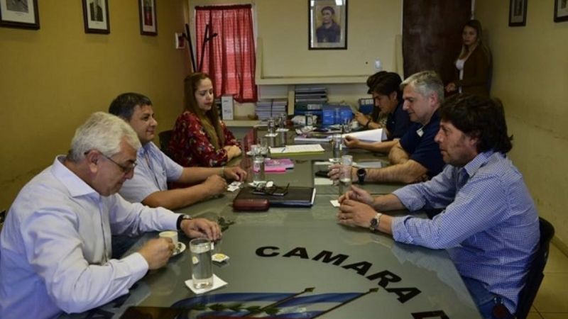 Aprueban pedido de informes