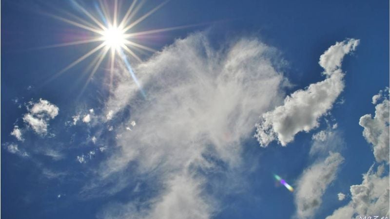 Previa de la primavera con calor de verano
