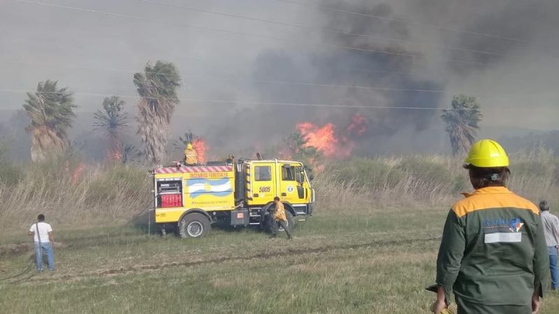 Incendio forestal de magnitud en Fray M. Esquiú