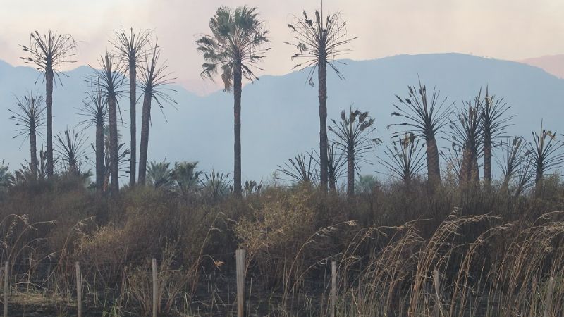 Incendio forestal de magnitud en Fray M. Esquiú