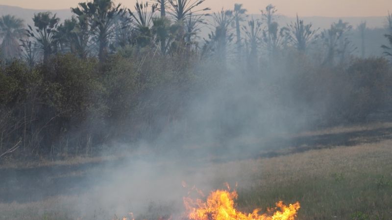 Incendio forestal de magnitud en Fray M. Esquiú
