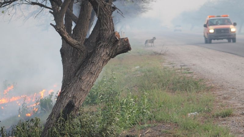 Incendio forestal de magnitud en Fray M. Esquiú
