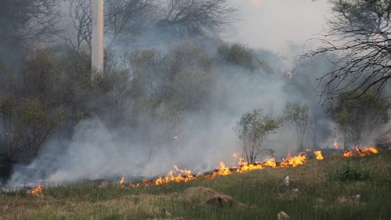 Incendio forestal de magnitud en Fray M. Esquiú