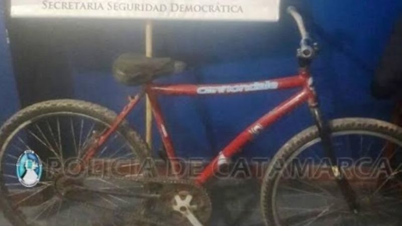 Recuperan una bicicleta sustraída en la Capital