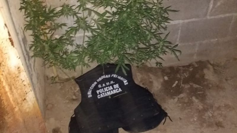 Secuestran droga en Belén: Hay un detenido