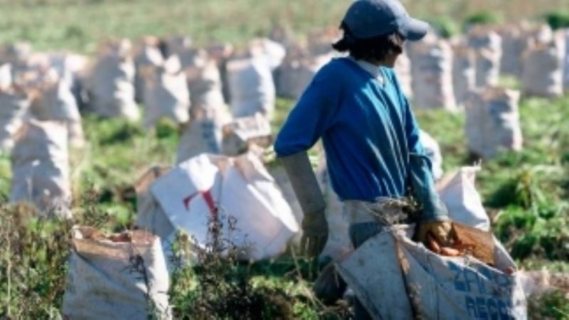 Homologaron el aumento para rurales