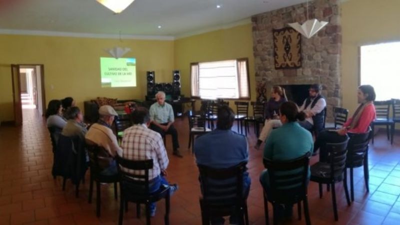 El Programa Hualfín avanza en el proceso de certificación orgánica