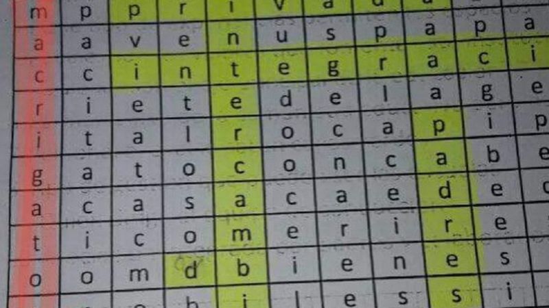 Profesor dio a sus alumnos un crucigrama que dice "Macri gato"