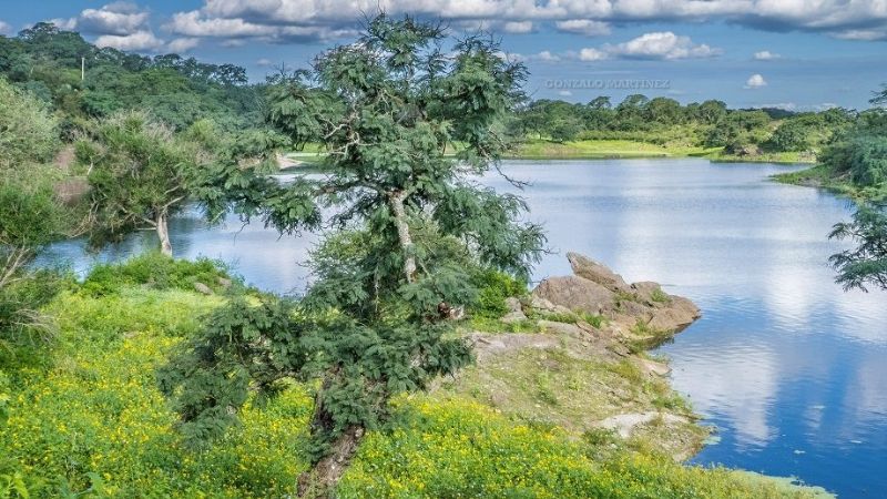 ¿Selva en Catamarca?