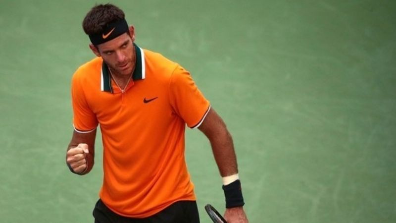 Del Potro avanzó a las semifinales del US Open