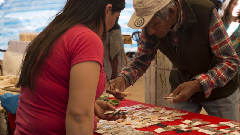 17° Feria de Intercambio de Semillas Nativas y Criollas