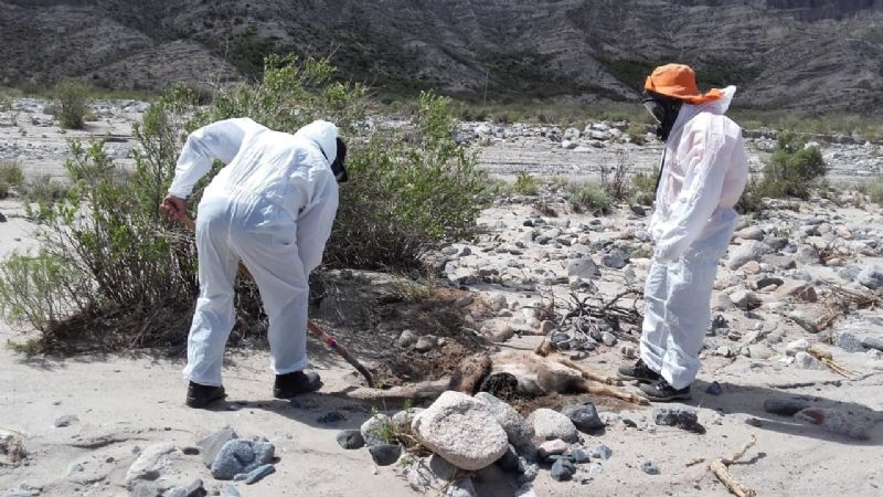 Asisten a familias afectadas por la tormenta en Barranca Larga