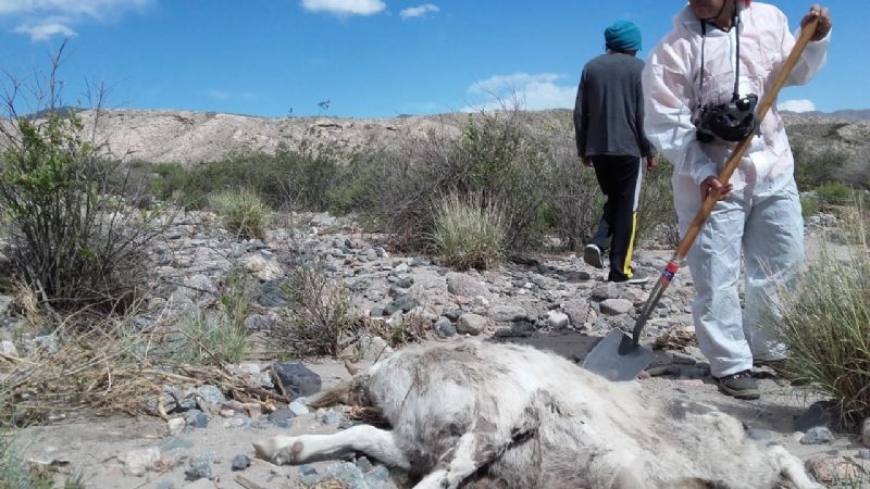 Asisten a familias afectadas por la tormenta en Barranca Larga