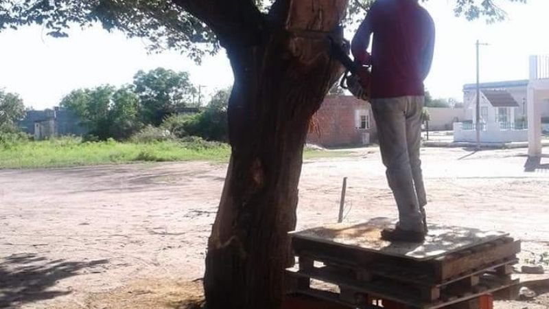 Escultura en madera de Esquiú