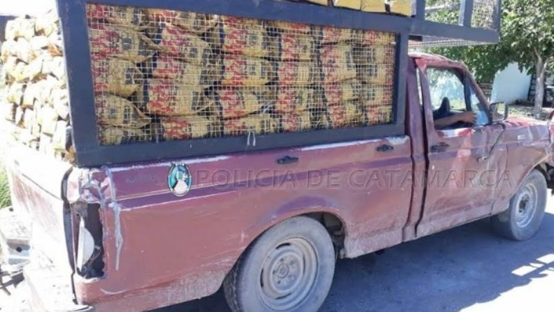 Secuestran 400 bolsas de carbón en Capayán